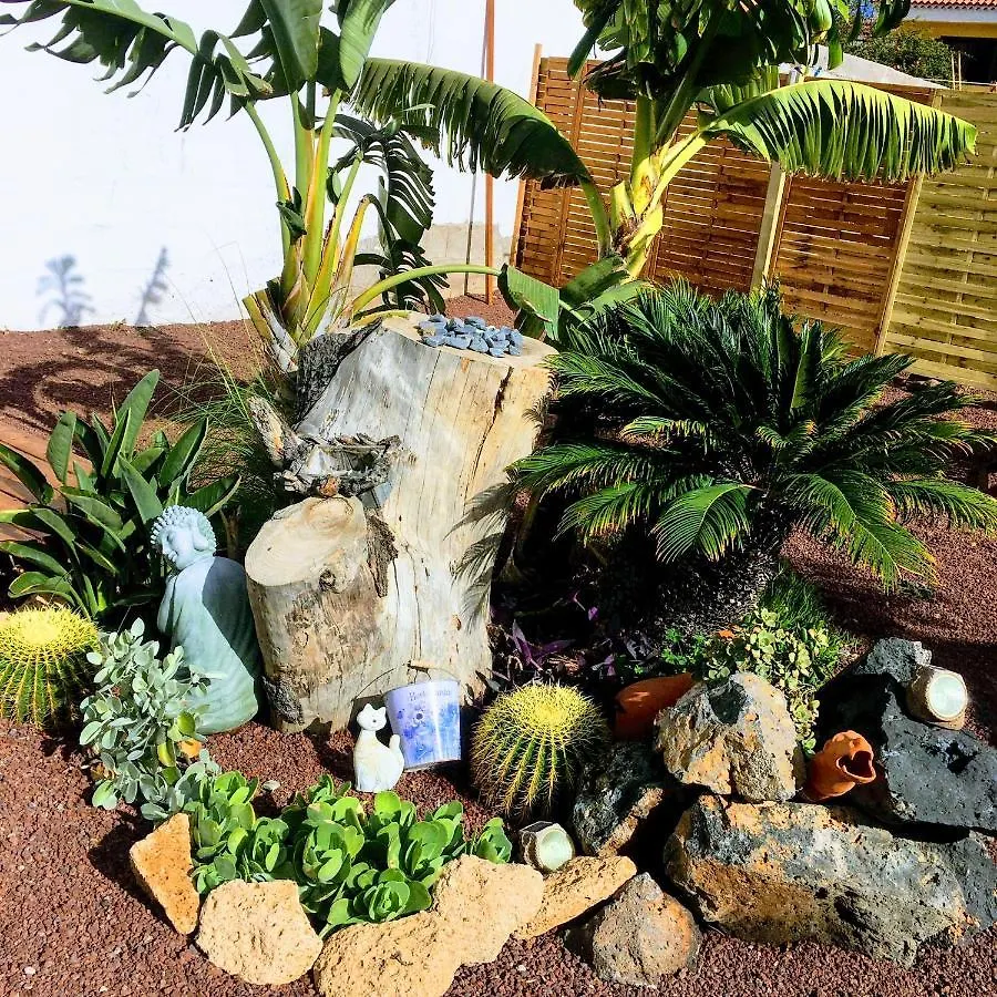 Beautiful Vintage Bungalow Wifi Parking. Las Galletas Holiday home